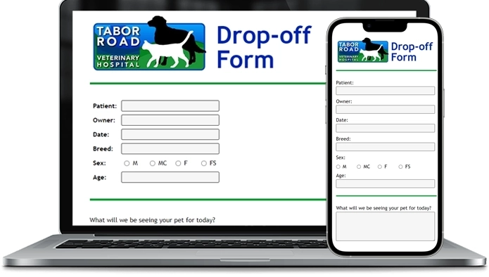 Desktop- and mobile-friendly vet forms